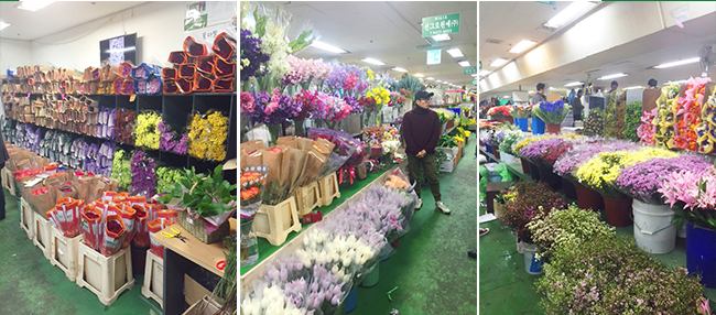 Hoa tươi Dalat Hasfarm nổi bật tại chợ hoa sỉ Seoul, Hàn Quốc