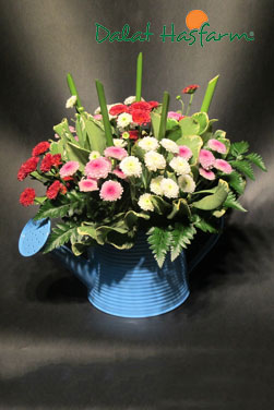 Flowers for 20.10 - 2