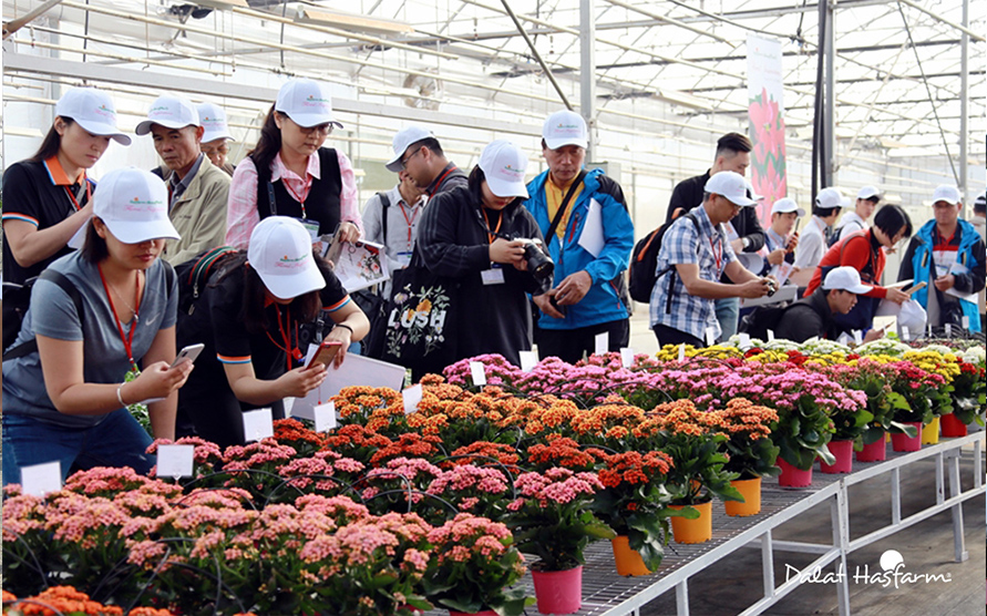 Dalat Hasfarm lần đầu tiên tổ chức ngày hội Floral Inspirations tới khách hàng quốc tế