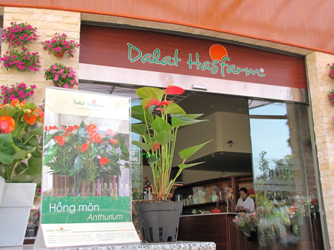 Flower shop in Dalat